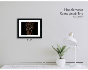 Mapplethorpe Reimagined: Ting