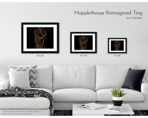 Mapplethorpe Reimagined: Ting