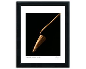 Mapplethorpe Reimagined: Vase Filler