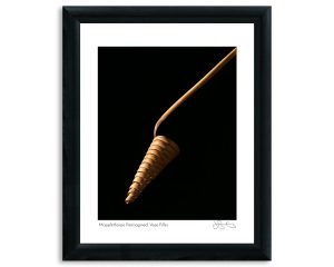Mapplethorpe Reimagined: Vase Filler