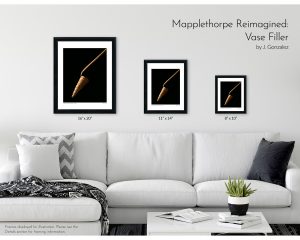 Mapplethorpe Reimagined: Vase Filler