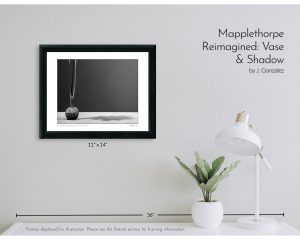 Mapplethorpe Reimagined: Vase & Shadow