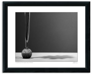 Mapplethorpe Reimagined: Vase & Shadow