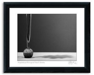 Mapplethorpe Reimagined: Vase & Shadow