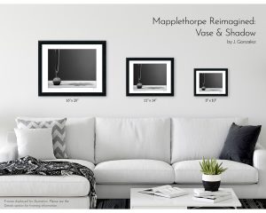 Mapplethorpe Reimagined: Vase & Shadow