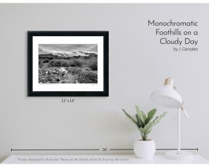 Monochromatic Foothills on a Cloudy Day