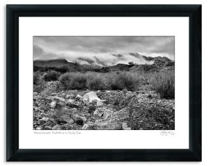 Monochromatic Foothills on a Cloudy Day