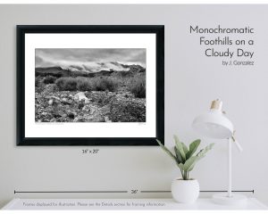 Monochromatic Foothills on a Cloudy Day