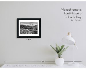 Monochromatic Foothills on a Cloudy Day