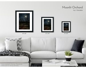 Moonlit Orchard