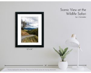 Scenic View at the Wildlife Safari