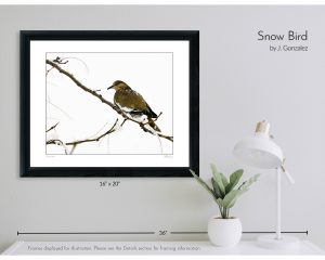 Snow Bird