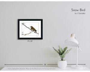 Snow Bird