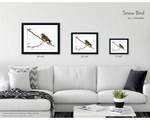 Snow Bird