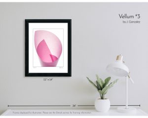 Vellum #3