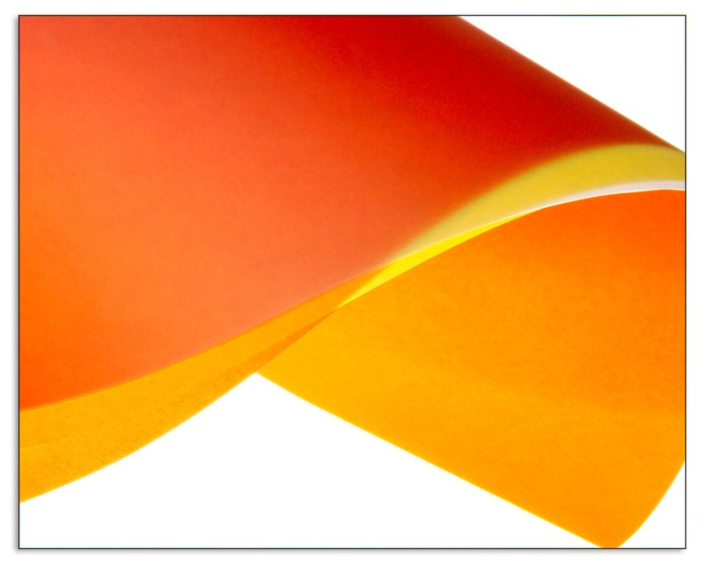 Vellum #5
