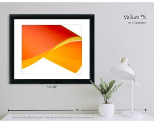 Vellum #5