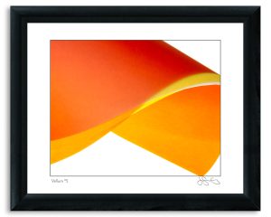 Vellum #5