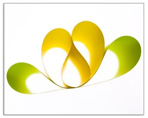 Vellum #6