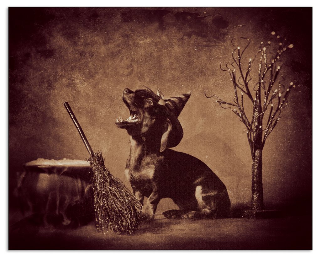 Witchy Gala