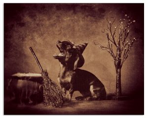 Witchy Gala
