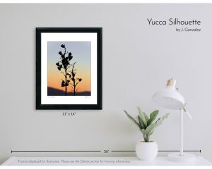 Yucca Silhouette