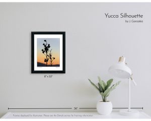 Yucca Silhouette