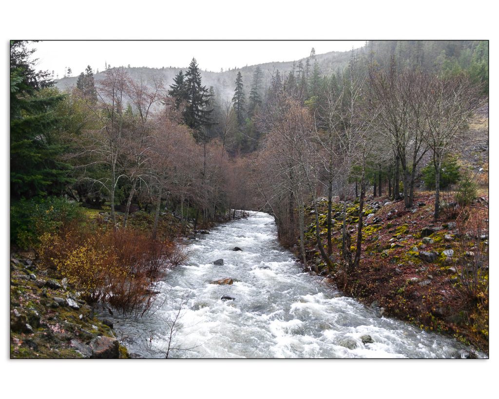 Dreary Day at the Creek