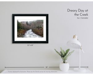 Dreary Day at the Creek