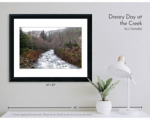 Dreary Day at the Creek