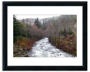 Dreary Day at the Creek