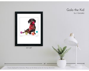 Gala the Kid