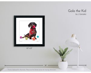 Gala the Kid