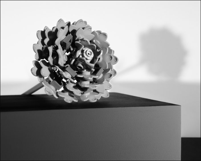 Black-and-white photo of a Lego Aster flower from the Botanical Collection, dramatically lit on a pedestal to evoke Robert Mapplethorpe’s style; highlights and shadows sculpt the plastic petals, blending modern materials with classical still-life elegance.