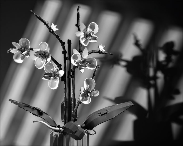 Black-and-white photo of a Lego Orchid Bouquet, dramatically lit to highlight the sculptural petals and cast abstract shadows, reimagining the floral still life through a fine art lens.