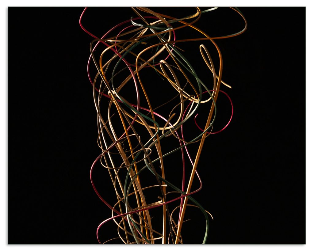 Mapplethorpe Reimagined: Ting