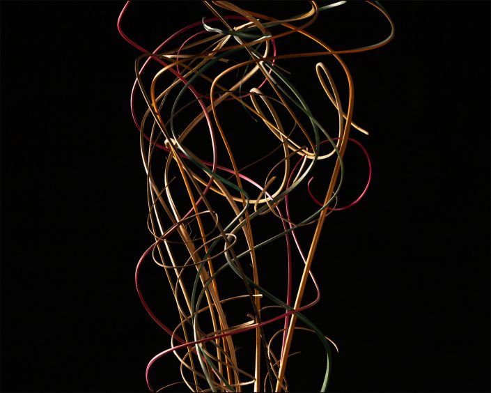 Black-and-white photo of tangled ting vase filler stems set against a dark background, highlighting the intricate curves, shadows, and flowing lines in tribute to Mapplethorpe’s sculptural light and shadow style.