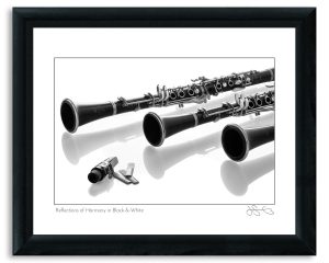 Reflections of Harmony in Black-&-White