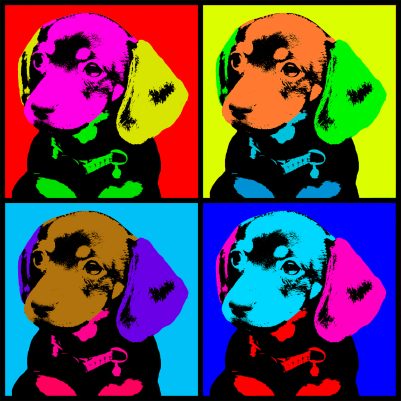 Pop art portrait of a dachshund puppy named Gala, shown in a Warhol-inspired grid with bold, saturated colors and playful expression, celebrating her lively personality and iconic charm.