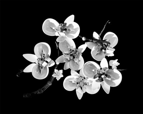 Black-and-white top-down photograph of Lego orchid flowers from the Botanical Collection, arranged against a dark background with dramatic lighting that emphasizes texture, shadow, and sculptural detail.